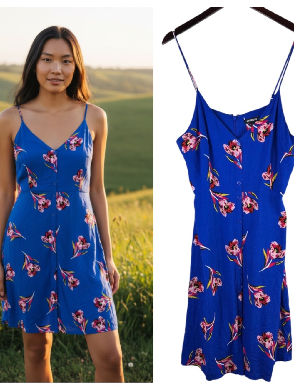 Express Sundress Dress Sz XL 14 16 Blue Pink Floral Cottage Romantic Slvss